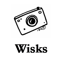 wisks