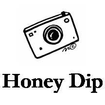 honey dipper