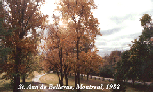 Picture of Montreal